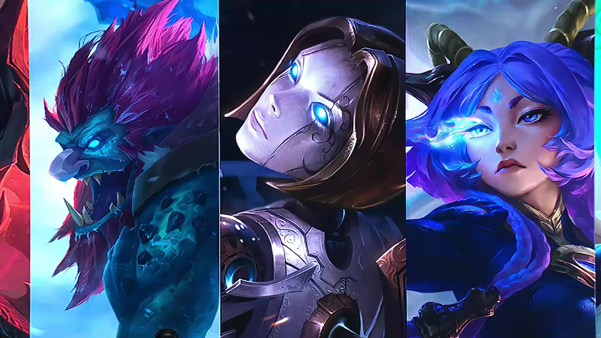 设定止损 设定止损